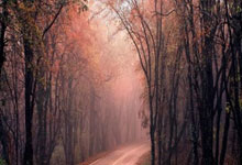 结束国家队任务,拉菲尼亚和阿劳霍已返回巴塞罗那.