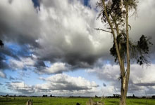 真假难辨!姆巴佩与自己蜡像的合照引热议,球迷:比姆总本人还像.