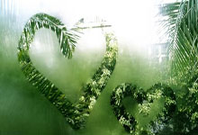 球探报告:吸引欧洲豪门关注的法国U17新10号阿齐兹.