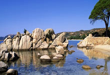 真假难辨!姆巴佩与自己蜡像的合照引热议,球迷:比姆总本人还像.